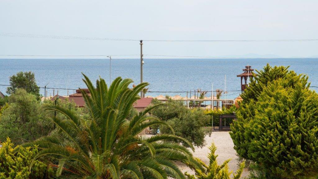 Příroda nedaleko hotelu