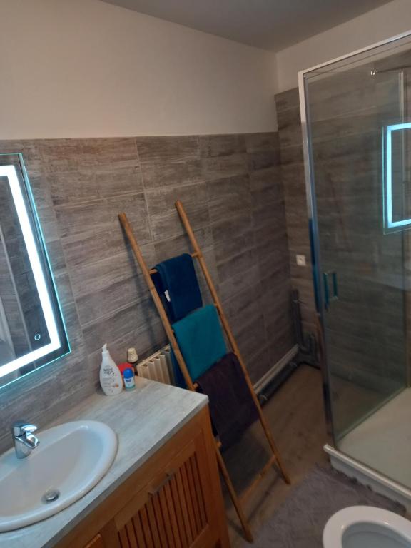 uma casa de banho com um lavatório e um chuveiro em Le studio zen em Gray
