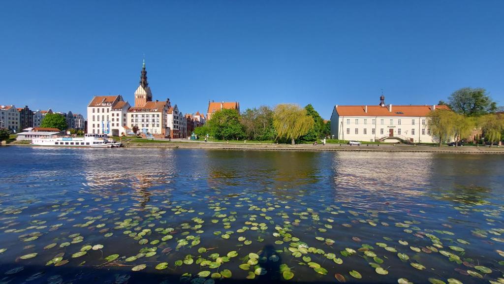 Pachnące Sny Apartament - 16