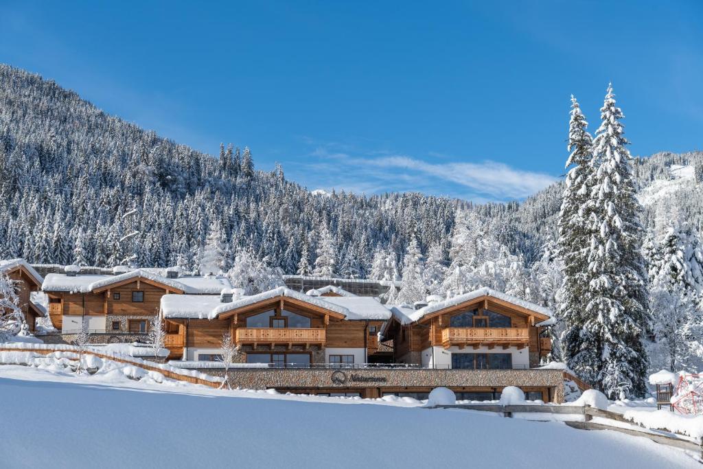 a log home in the snow with snow covered trees at Natursinn Mountainchalets in Flachau