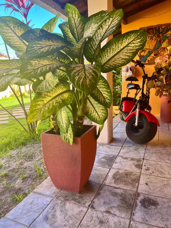 Zahrada ubytování Pousada Paradise