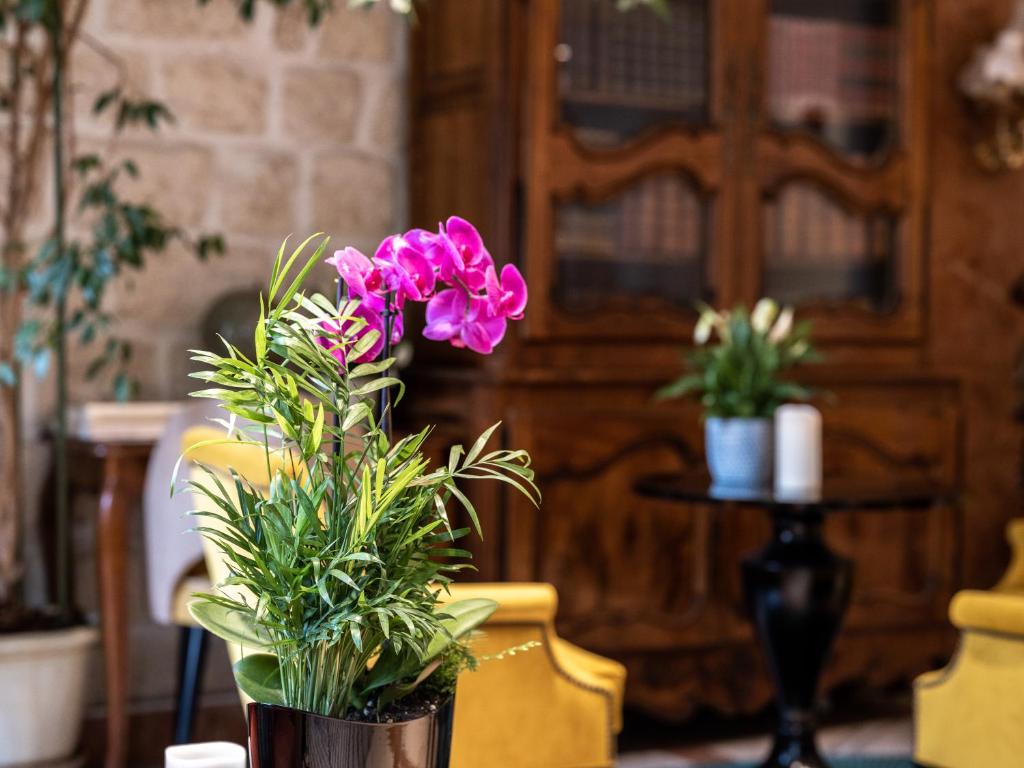 Hotel Minerve - Resim 30