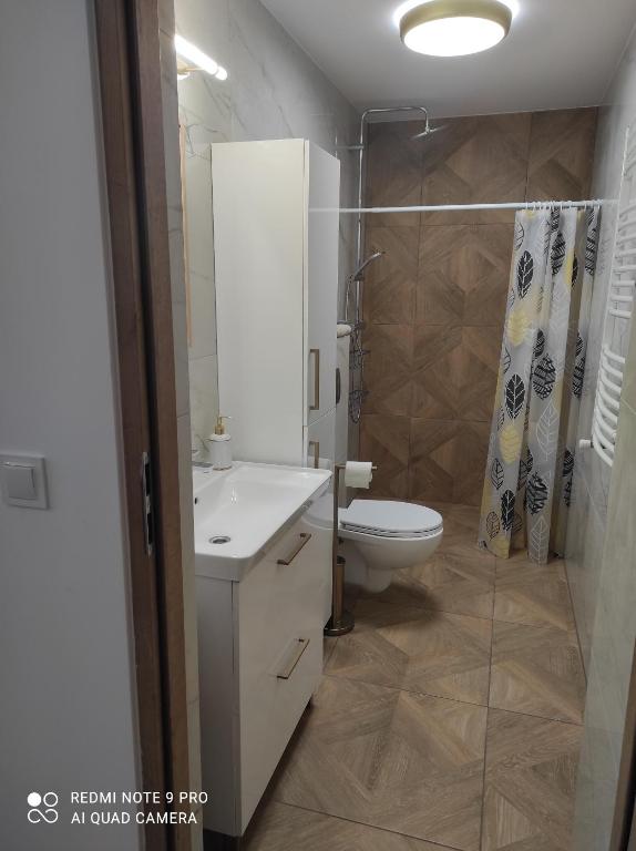 W łazience znajduje się umywalka, toaleta i prysznic. w obiekcie Apartament Dawna Mleczarnia Apartament Sosnowy w mieście Nowa Ruda