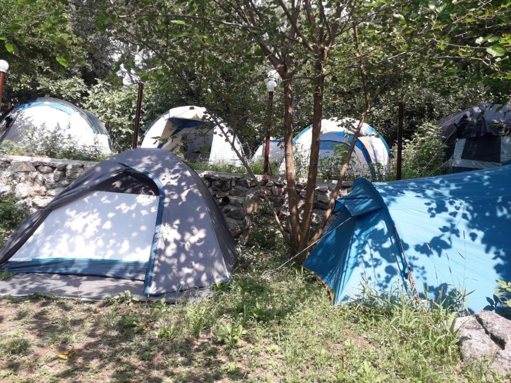 Fotografie z fotogalerie ubytování Kamp Seosko domaćinstvo Radman v destinaci Herceg-Novi