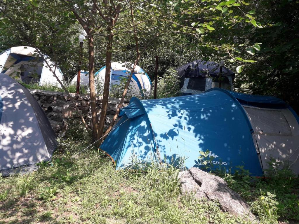 Fotografie z fotogalerie ubytování Kamp Seosko domaćinstvo Radman v destinaci Herceg-Novi