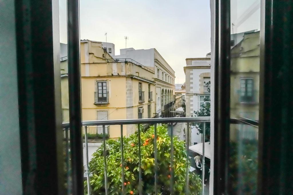 Apartamentos Consistorio Live - 6