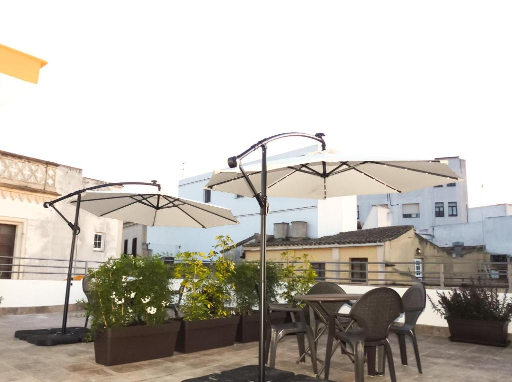 Apartamentos Consistorio Live - 11