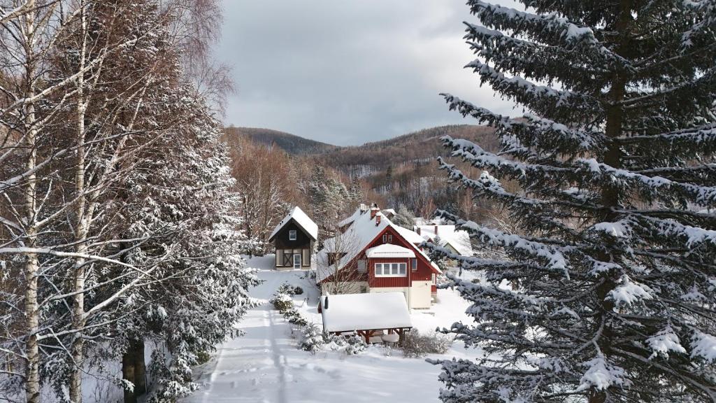 611 n.p.m. om vinteren