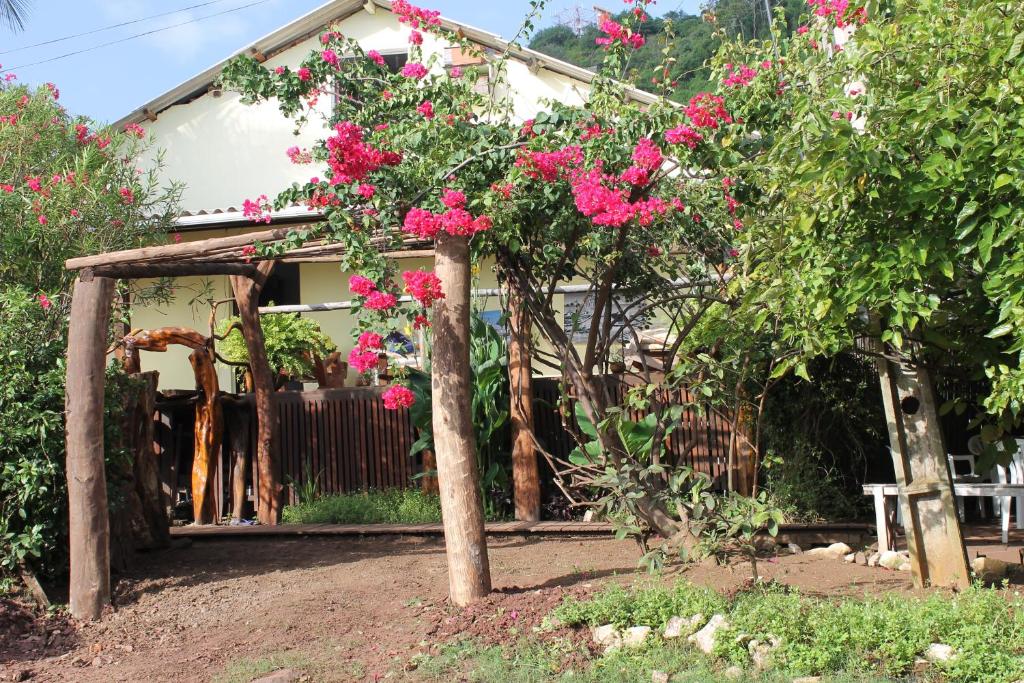  Casa do Iram e da Ângela