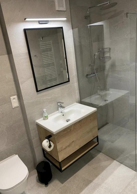 Koupelna v ubytování Apartmán Alenka