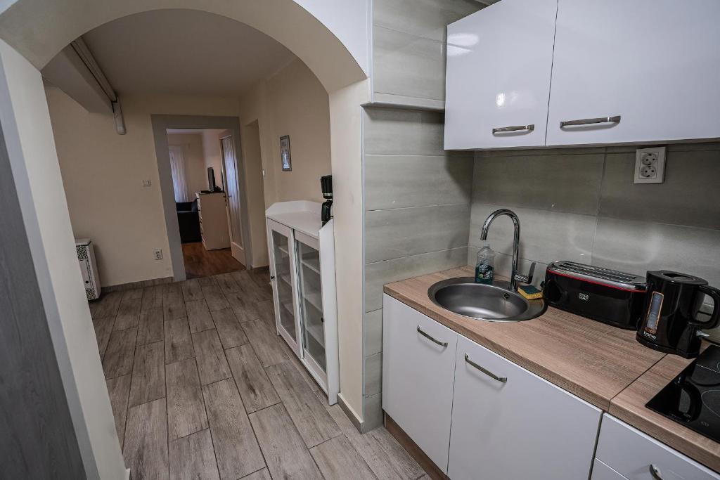 Kuchnia lub aneks kuchenny w obiekcie Gogol Apartment