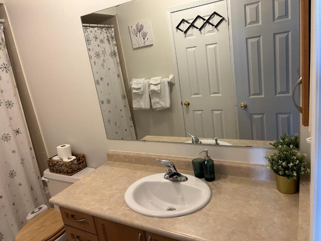 a bathroom with a sink and a mirror at Cozy home in Brampton (Mt pleasant Go station) in Brampton