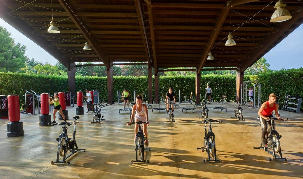 Fitness centrum a/nebo fitness zařízení v ubytování Serenè Resort