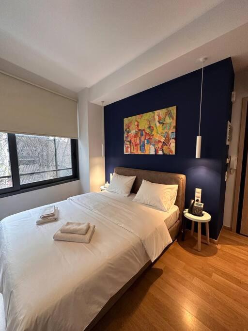 Athens Center luxury Suites 3 - Resim 11