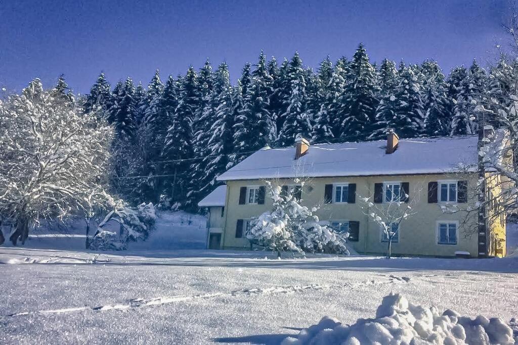 a white house in the snow with trees at Chalet Cosy Lisière de Forêt in Xonrupt-Longemer