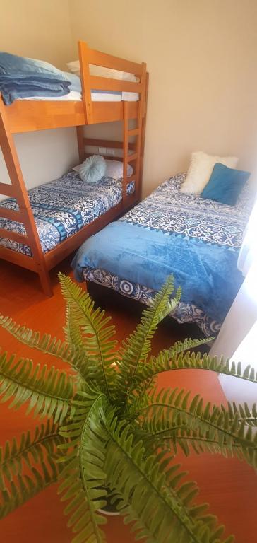 Casa en Niebla Valdivia في نيبلا: غرفة بسريرين بطابقين ومحطة خضراء