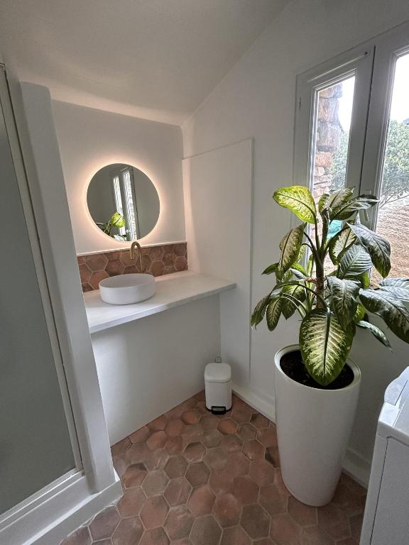 a bathroom with a plant and a mirror at La maison Léopoldine 