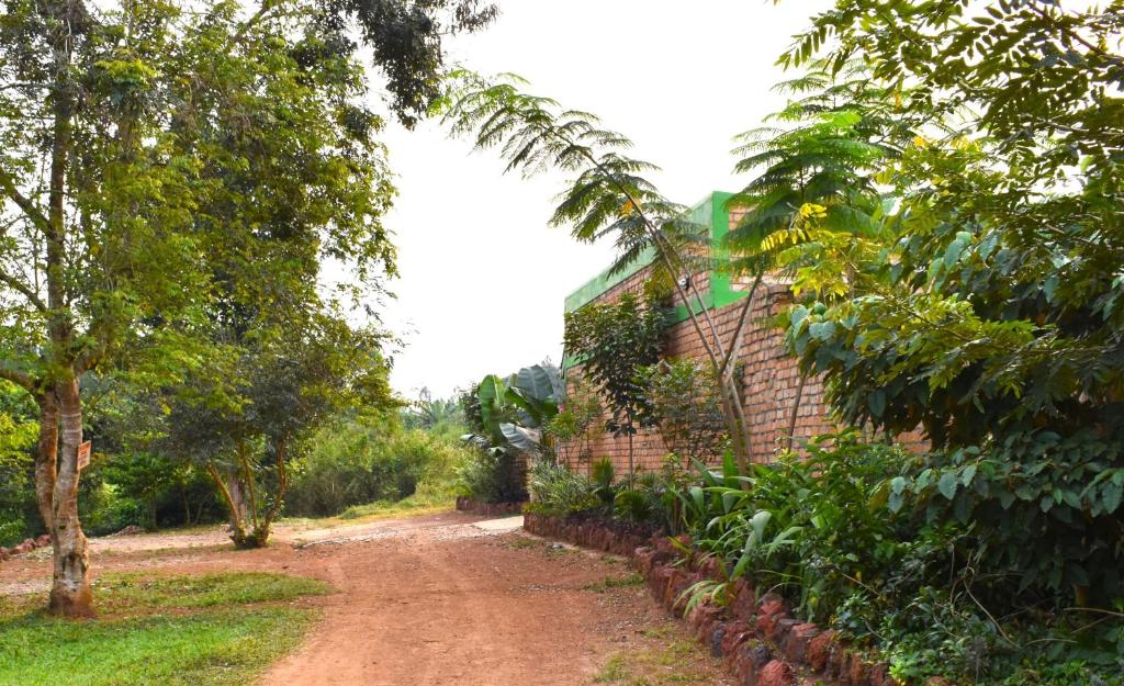 a dirt road in front of a house with trees at Iziba lodge in Hoima