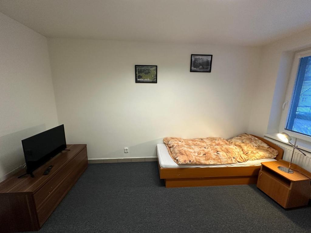 a bedroom with a bed and a flat screen tv at Bydlení v Brumově s.r.o. in Brumow