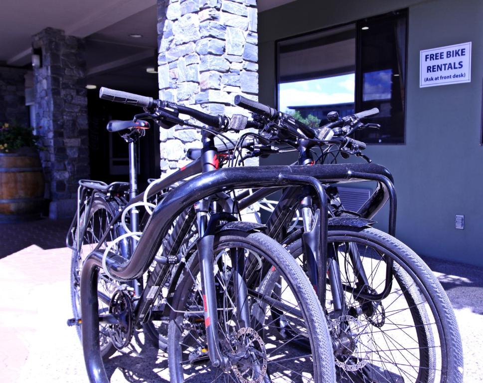 Jízda na kole v ubytování Accent Inns Kelowna nebo okolí