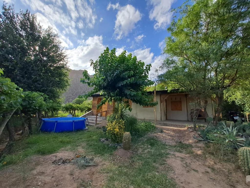 una casa con un albero e un cortile di Mañana campestre a Chilecito