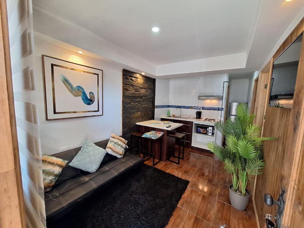 Cabañas Ases Loft Valdivia SIN ESTACIONAMIENTO - 公寓 - 一楼