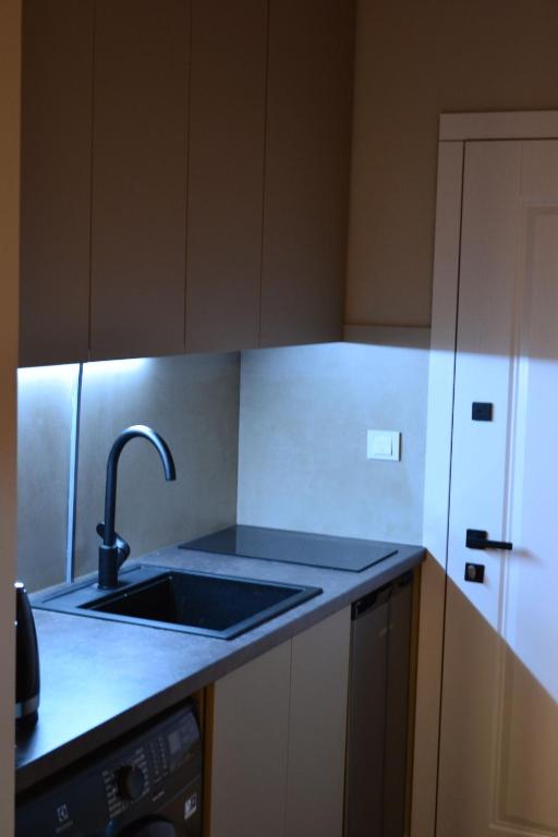 Kuchyň nebo kuchyňský kout v ubytování Village apartments Polyana