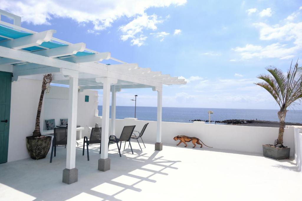 un chien assis sur le toit d'une maison dans l'établissement Rooftop Dreamhouse - 3BR with Seaviews, à Santa Cruz de la Palma