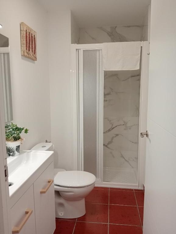 Kúpeľňa v ubytovaní Apartamentos La Piedra en pleno centro histórico con dos dormitorios y dos baños
