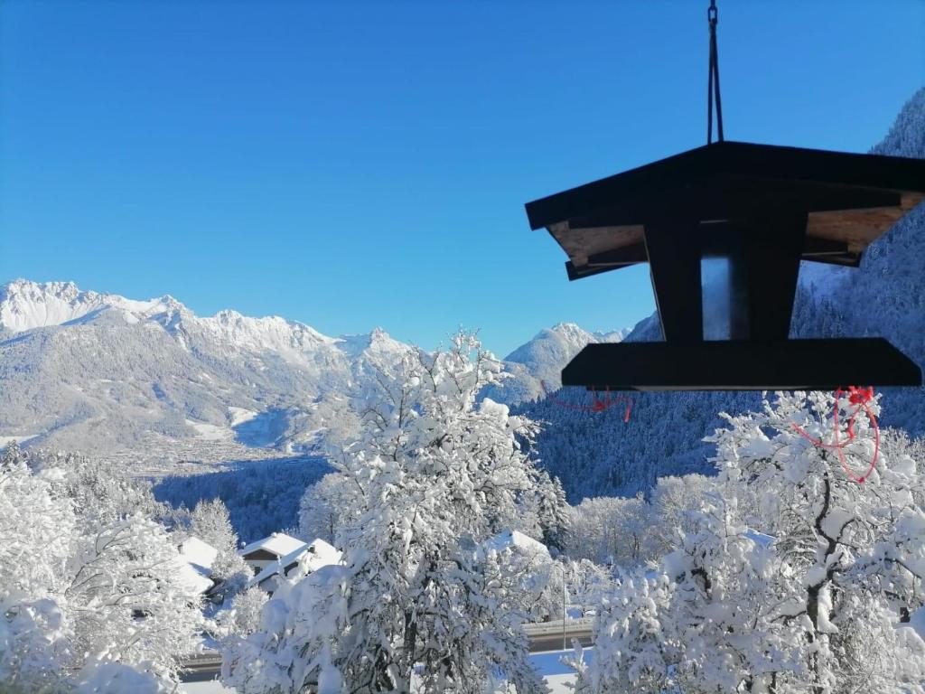 a view of a snow covered tree and a mountain at Landhaus Berthold in Bürserberg