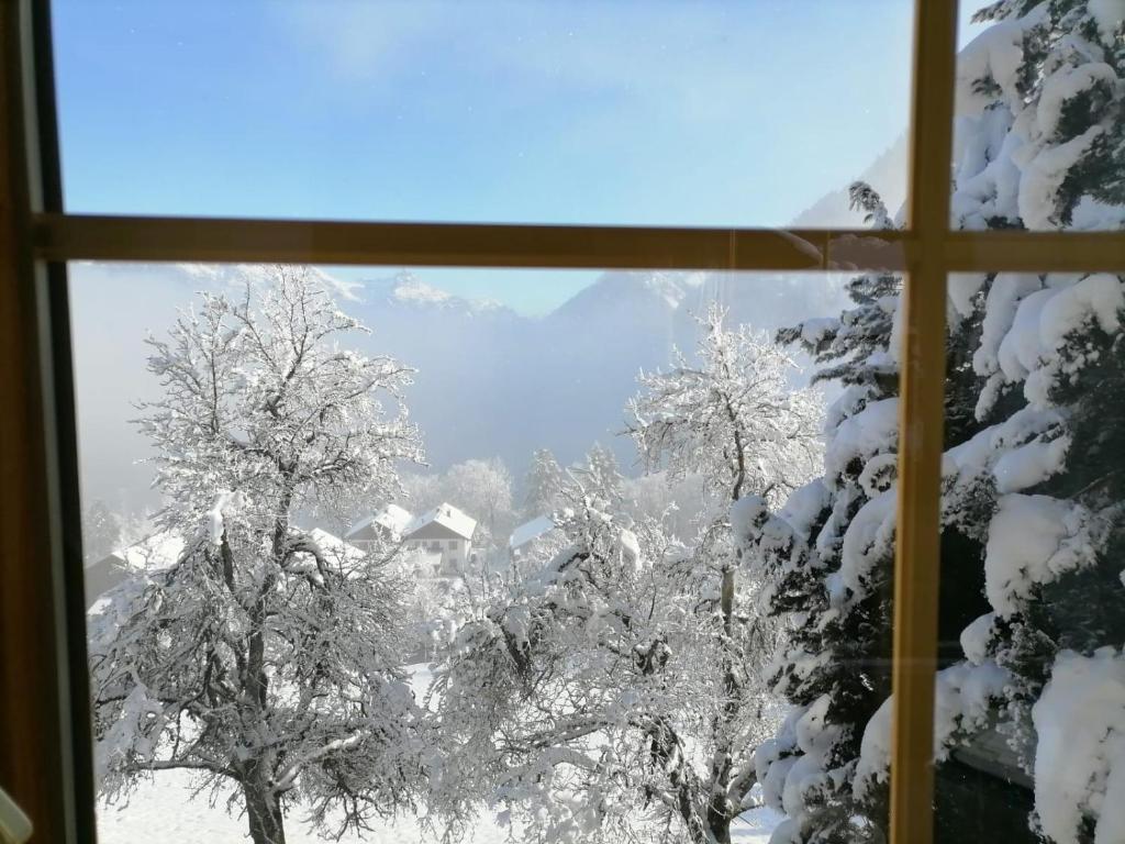 a window with a view of snow covered trees at Landhaus Berthold in Bürserberg