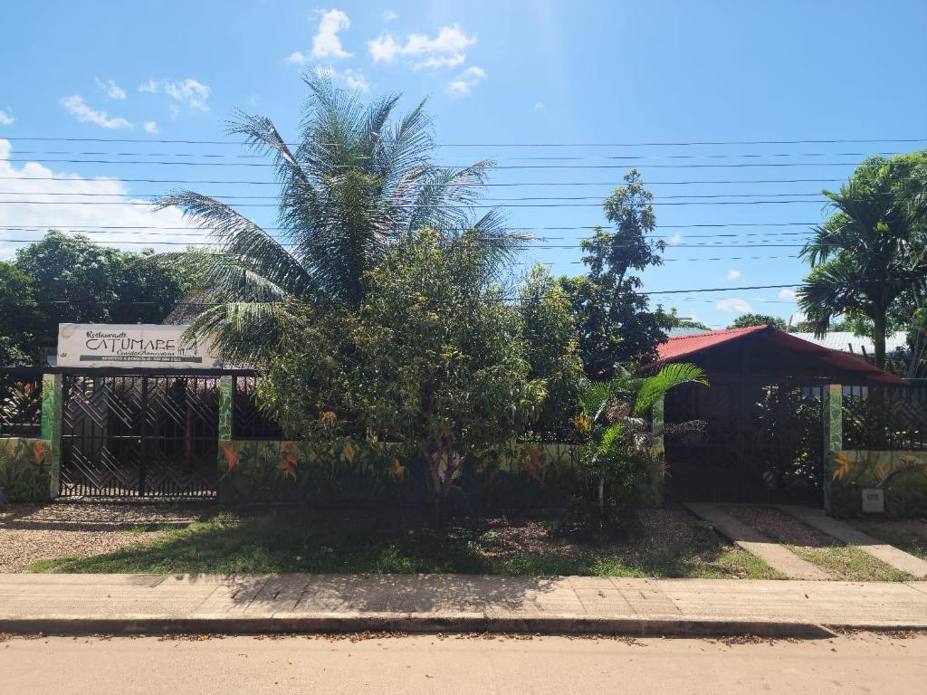 een palmboom voor een hek bij Hostel Lodge la Herradura in San José del Guaviare