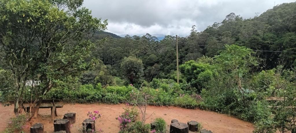 Forest Cyniciam Homestay - 15