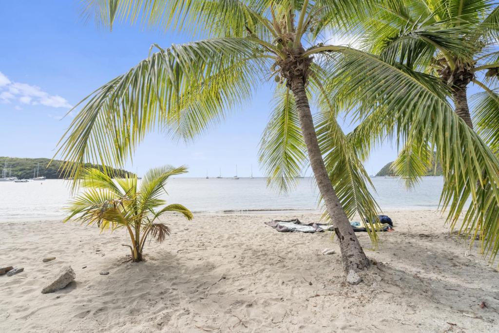 two palm trees on a sandy beach with the ocean at Villa Kaz Kreyol in Les Anses-dʼArlets