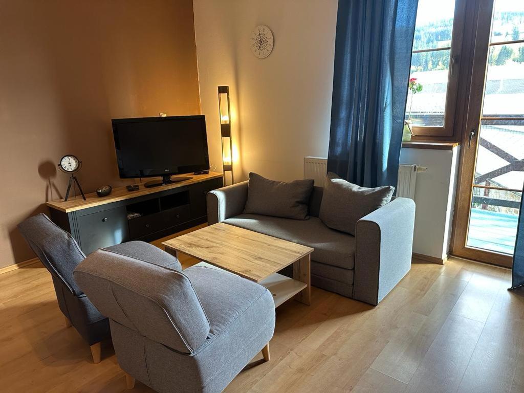 TV a/nebo společenská místnost v ubytování Apartmán Železná Ruda