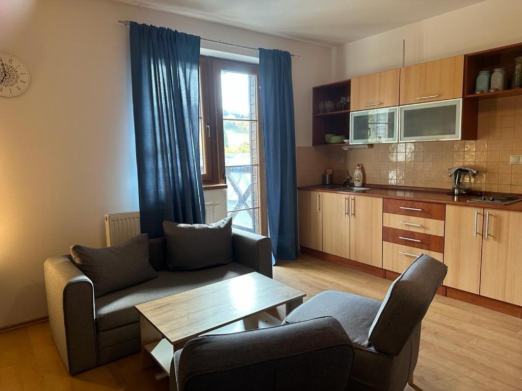 Kuchyň nebo kuchyňský kout v ubytování Apartmán Železná Ruda