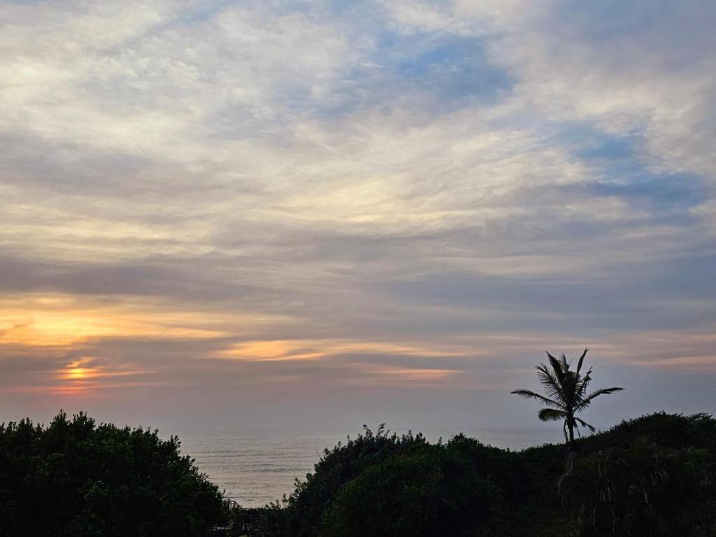 a palm tree on a hill with a cloudy sky at Angel Bay, 129 Nkwazi Drive, Zinkwazi in Zinkwazi Beach