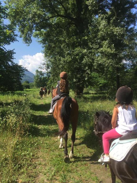 Hosté ubytování Lions Village