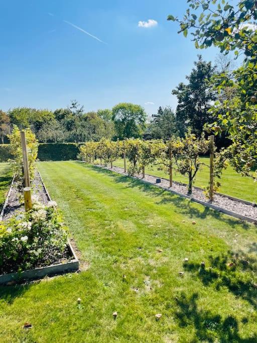 Zahrada ubytování Suite privée avec sauna et spa à Saint-Fuscien