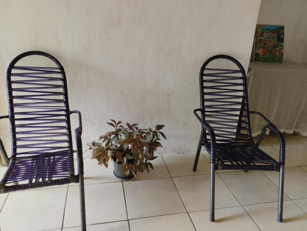 dwa czarne krzesła siedzące obok doniczki w obiekcie Pousada 4 estação w mieście Sapopema