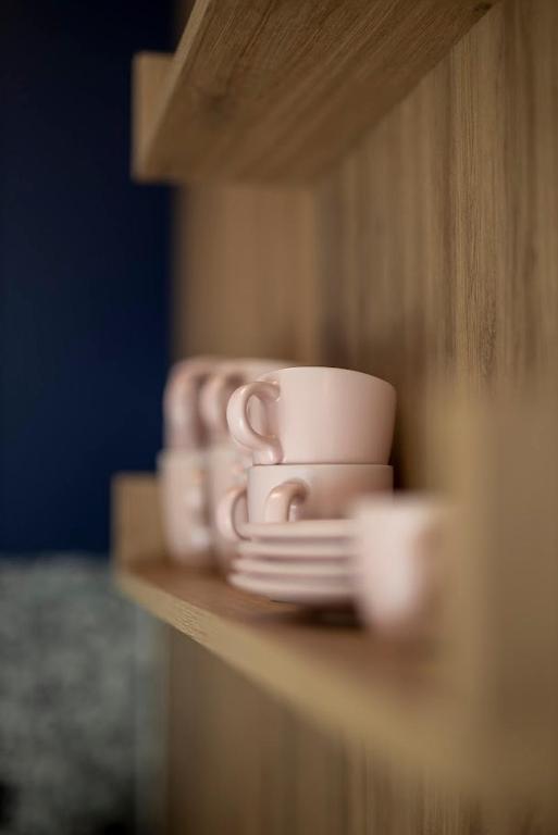 Fotografie z fotogalerie ubytování 25 Wisła by BonzApart ve Visle