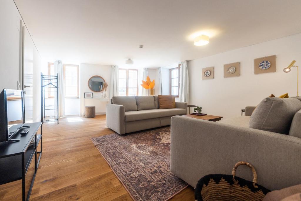 ein Wohnzimmer mit einem Sofa und einem TV in der Unterkunft City Apartment DOWNTOWN in Bregenz
