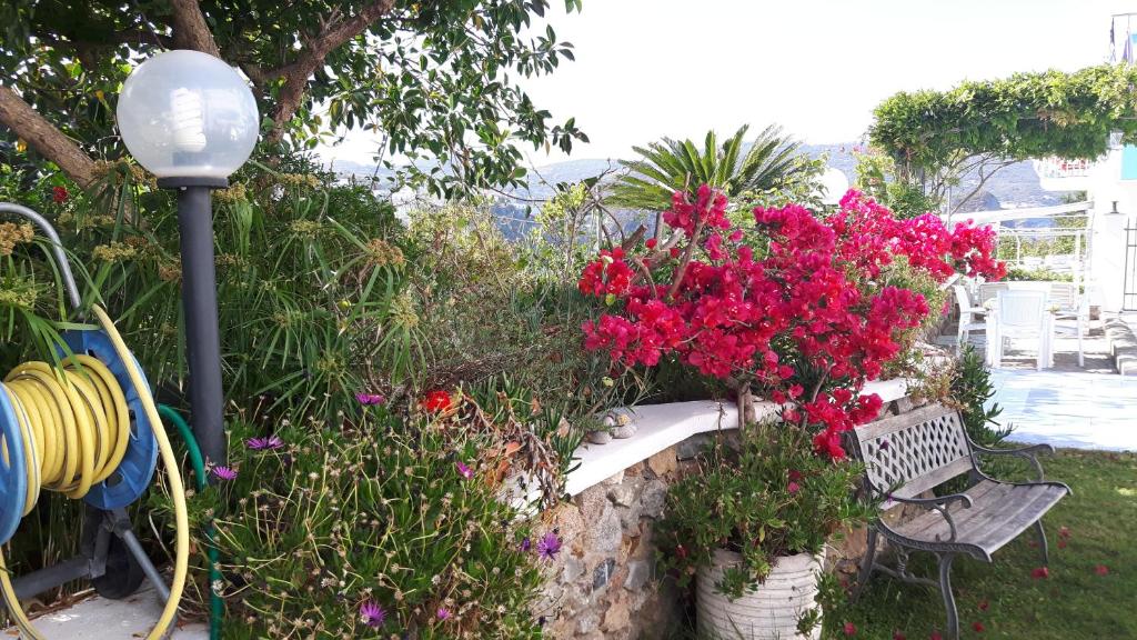 Zahrada ubytování Casa Acqua Marina Ponza