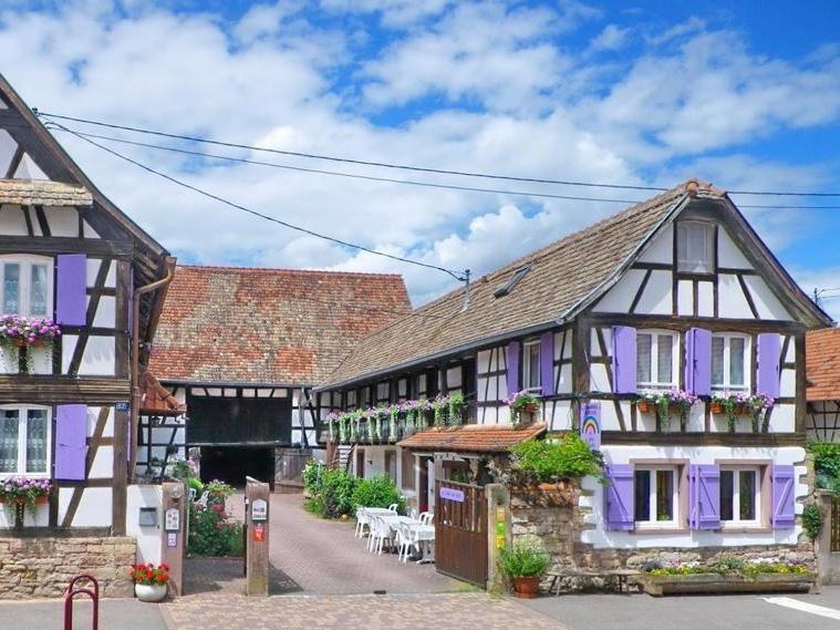 a group of buildings with purple doors and windows at A l'arc en ciel in Blaesheim