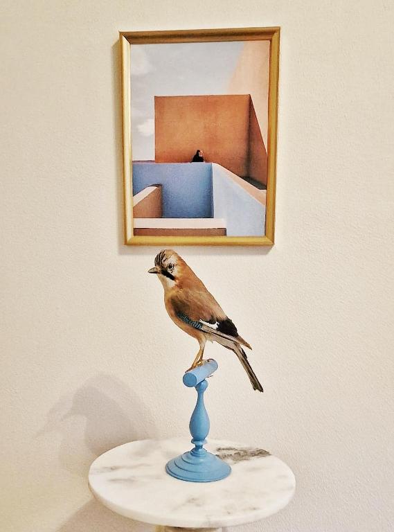 Fotografie z fotogalerie ubytování Elf bed and breakfast v destinaci Bolsward