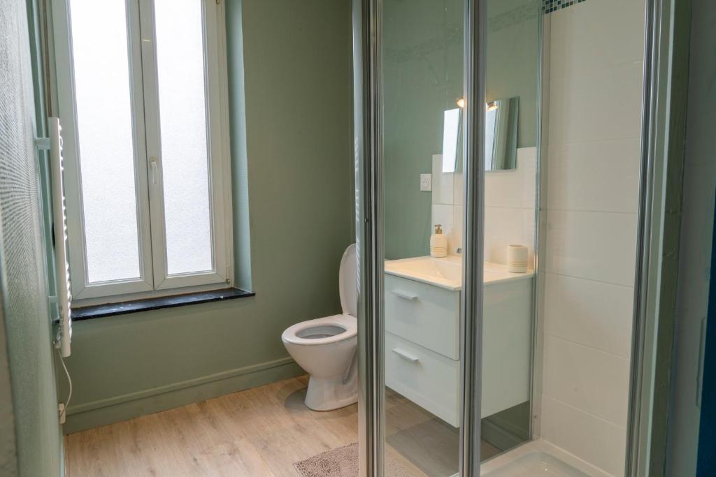 uma casa de banho com um WC e uma cabina de duche em vidro. em Oslo - Appartement Spacieux et Cosy em Charleville-Mézières