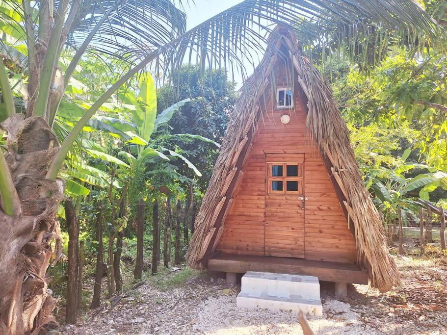 una pequeña casa con techo de paja en un bosque en Cabaña LunAzul, en San Antero