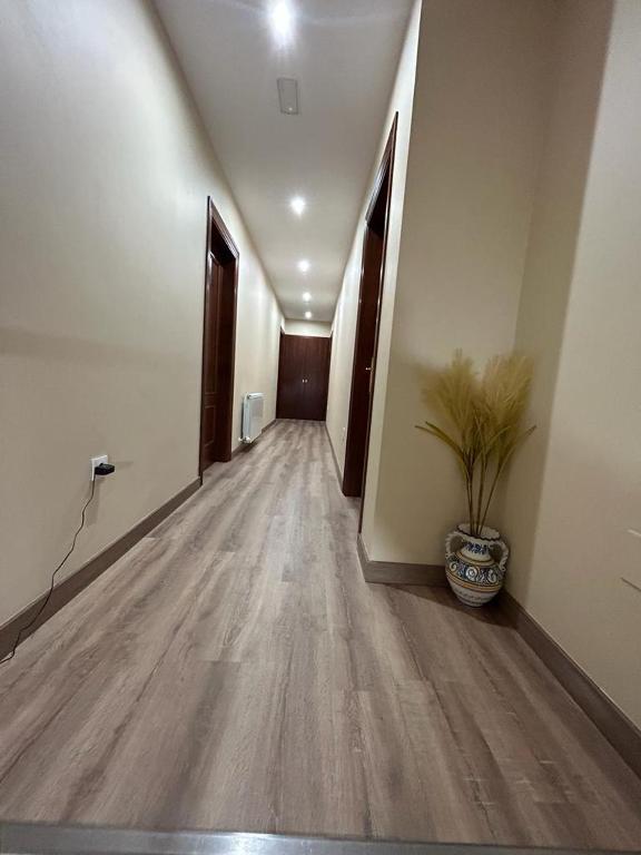 an empty hallway with a potted plant on the floor at Hotel Restaurante el Fornon in Novellana