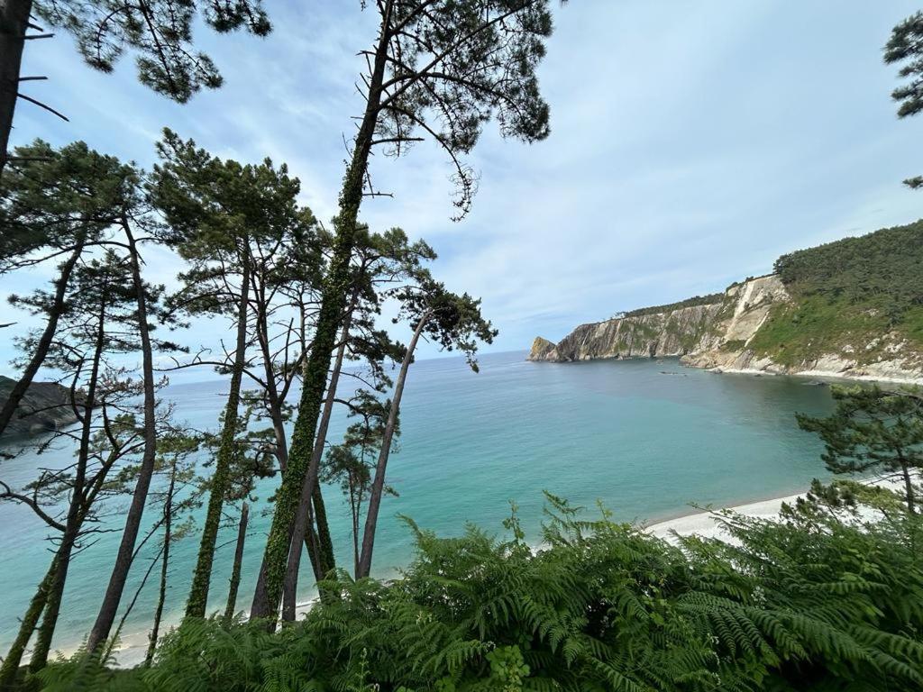 a view of a beach with trees and the ocean at Hotel Restaurante el Fornon in Novellana