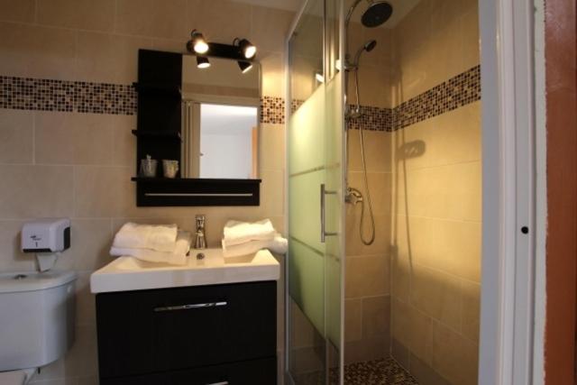 La salle de bains est pourvue d'un lavabo et d'une douche avec un miroir. dans l'établissement LE COMPTOIR, à Sainte-Croix-de-Verdon